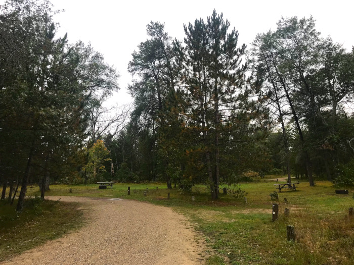 Manistee River Bridge Campground