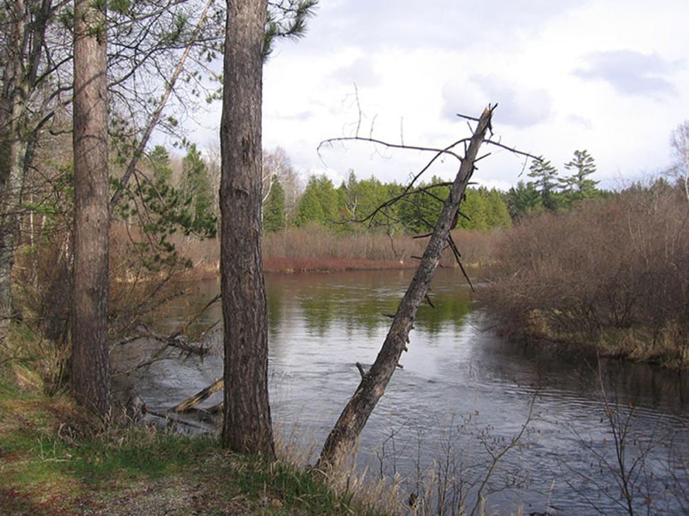 ccc_state_forest_campground