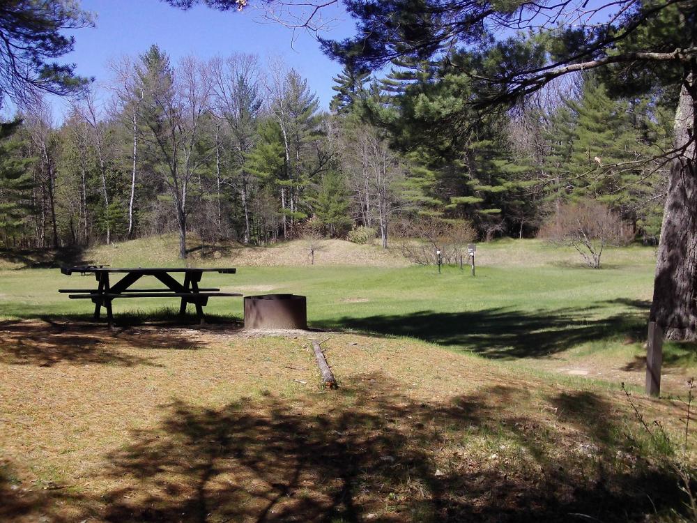 US 131 State Forest Campground